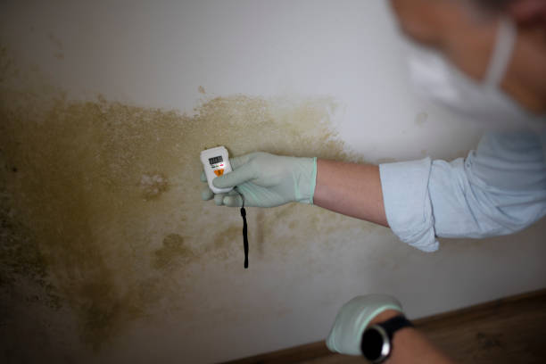 Bridgeport, PA Mold Inspection, Removal & Remediation Company